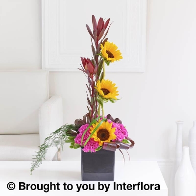 Retro Chic Sunflower & Leucadendron Arrangement