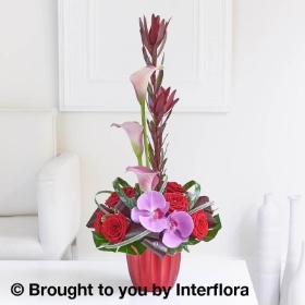 Tropical Orchid & Leucadendron Arrangement